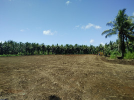 Pembangunan Lapangan Olahraga